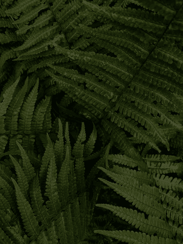 Join now to become a founding member or host.